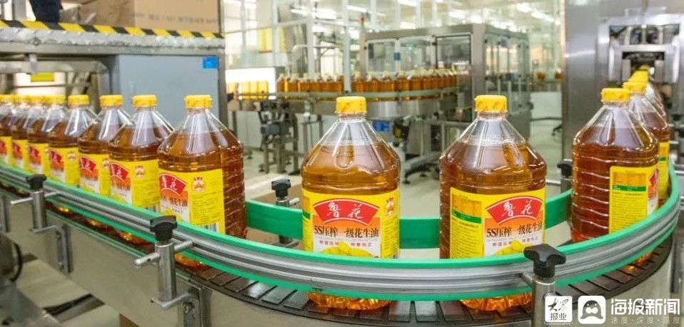 民族品牌的骄子，为什么是鲁花？